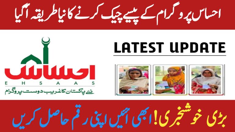 Ehsaas Program July 2025 || How To Ckeck Your Payment, 8171webportal.ehsasapnaghar.com