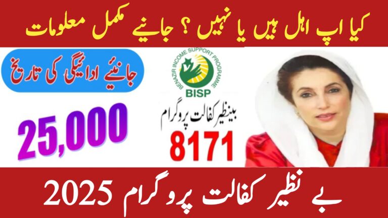 Financial Relief for Deserving Families || How to Qualify for the Benazir Kafalat Program in 2025, 8171webportal.ehsasapnaghar.com