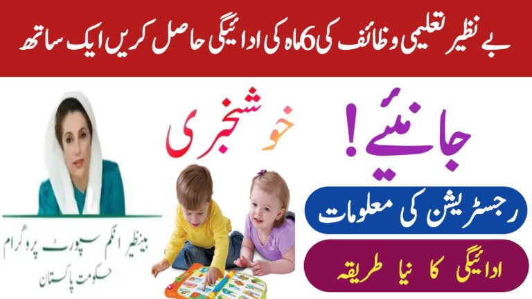 Benazir Taleemi Wazaif Program || July 2025 Online Registration Method, 8171webportal.ehsasapnaghar.com
