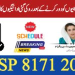 BISP Reinstates Payments for Eligible Families After Data Verification || July 2025 Update, 8171webportal.ehsasapnaghar.com