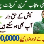 CM Punjab Green Credit Program 2025 || A Revolutionary Step Toward a Greener Future, 8171webportal.ehsasapnaghar.com