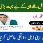 BISP Double Payment 2025 || Great News for Eligible Families Across Pakistan, 8171webportal.ehsasapnaghar.com