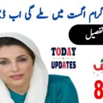 Double Payment Announced in Ehsaas Program Latest Update 2025, 8171webportal.ehsasapnaghar.com