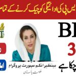 How to Check BISP Payments in 2025 || Complete Step-by-Step Guide, 8171webportal.ehsasapnaghar.com