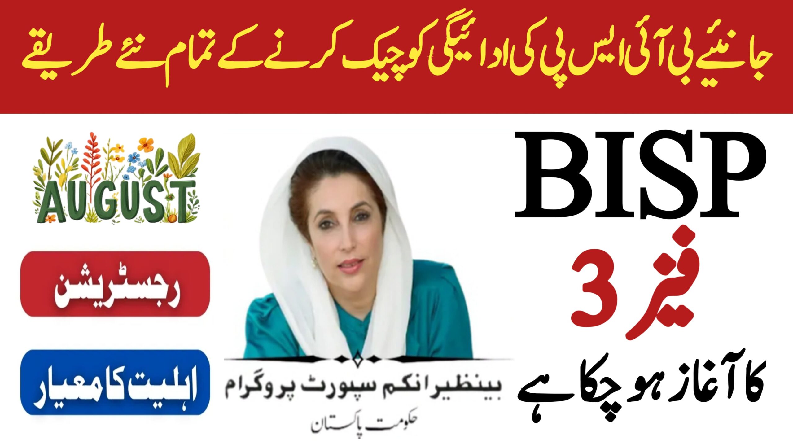 How to Check BISP Payments in 2025 || Complete Step-by-Step Guide, 8171webportal.ehsasapnaghar.com
