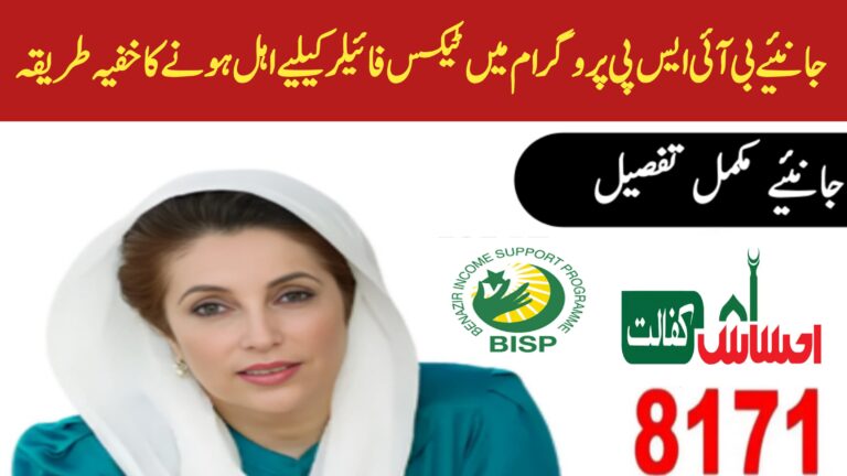 BISP 2025 Eligibility || Can Tax Filers Still Qualify Through Legal Means August Update, 8171webportal.ehsasapnaghar.com