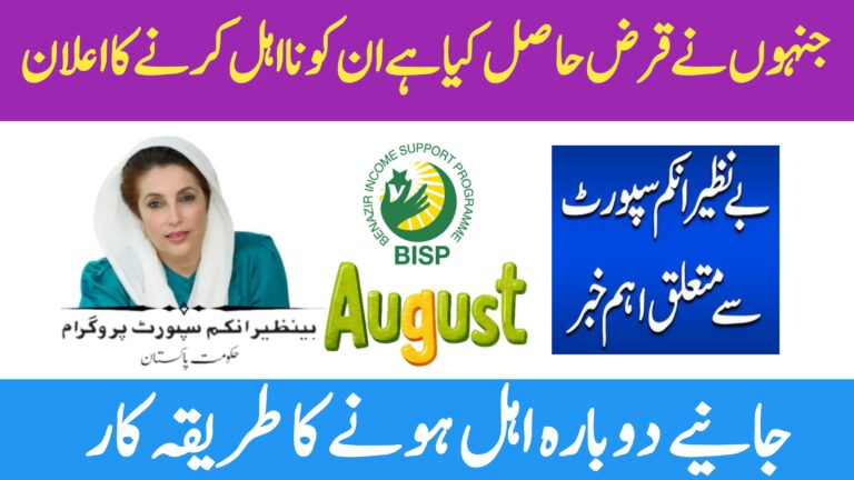 BISP Disqualification Due to Loans: Full Guide to Reapply and Regain Eligibility in 2025, 8171webportal.ehsasapnaghar.com