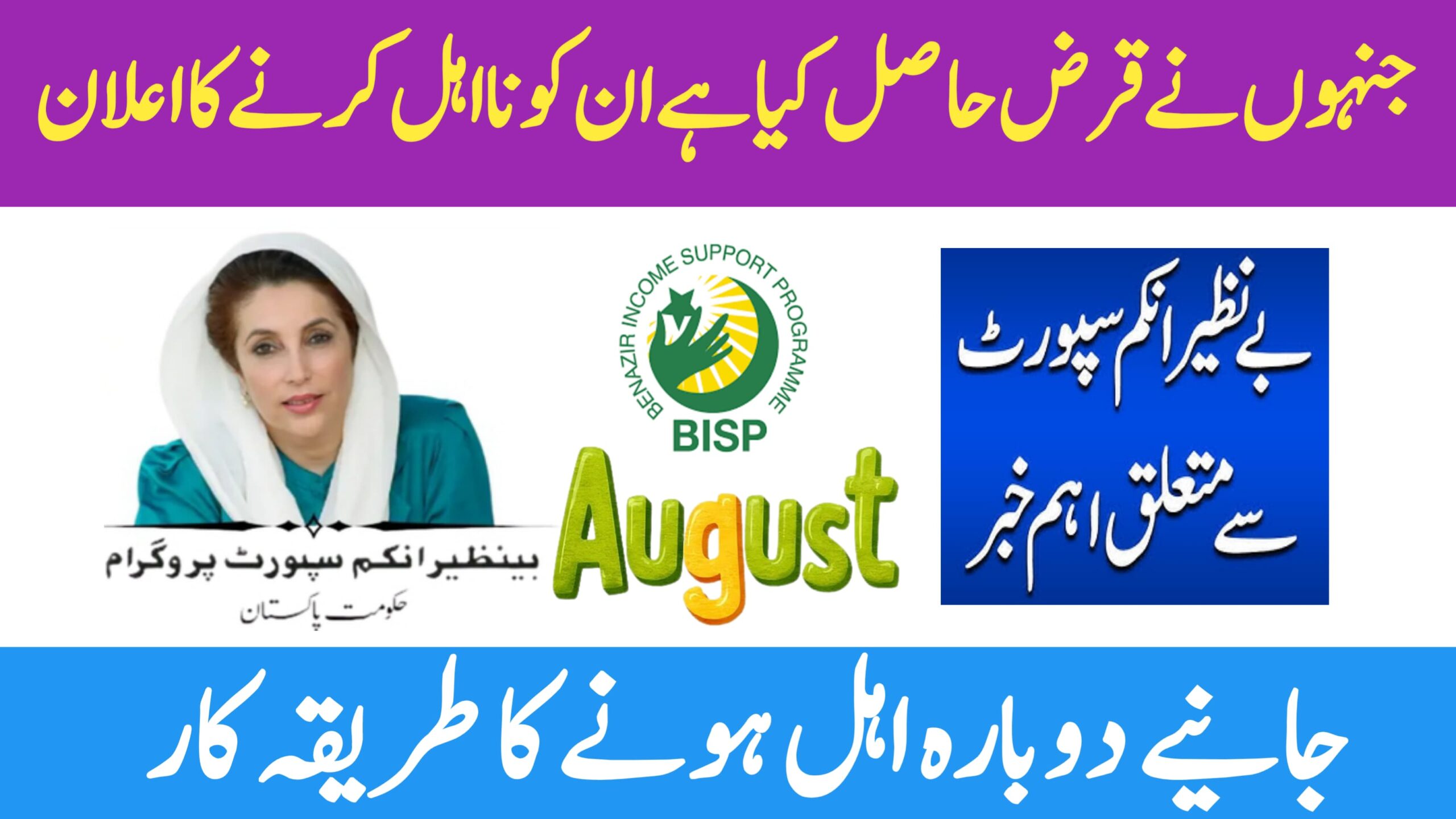 BISP Disqualification Due to Loans: Full Guide to Reapply and Regain Eligibility in 2025, 8171webportal.ehsasapnaghar.com