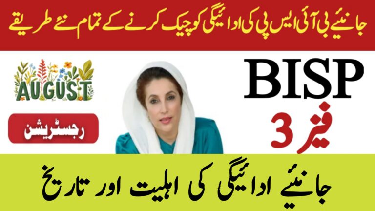 BISP Phase 3 Payment in August 2025 || Complete Guide to Eligibility and Process, 8171webportal.ehsasapnaghar.com