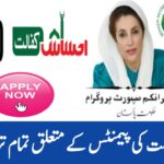 Complete BISP August 2025 Payment Guide || Dates, Amounts, and New Bank Transfer System, 8171webportal.ehsasapnaghar.com