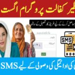 BISP SMS Service Restored for Payment Collection || August 2025 Update, 8171webportal.ehsasapnaghar.com